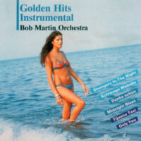 Bob Martin Orchestra - Golden Hits Instrumental (CD)